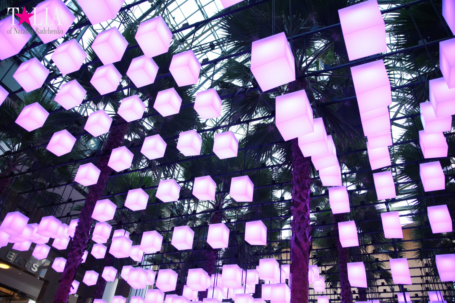 Световая инсталляция Luminaries в Зимнем саду Брукфилд Плейс Всемирного Финансового Центра, Нью-Йорк-Сити