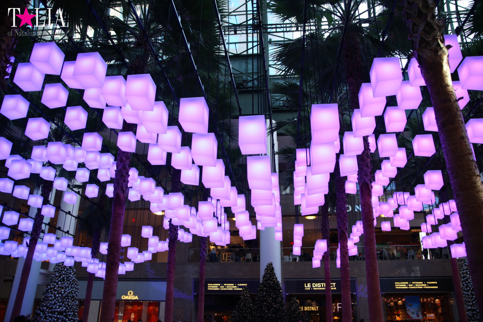 Световая инсталляция Luminaries в Зимнем саду Брукфилд Плейс Всемирного Финансового Центра, Нью-Йорк-Сити