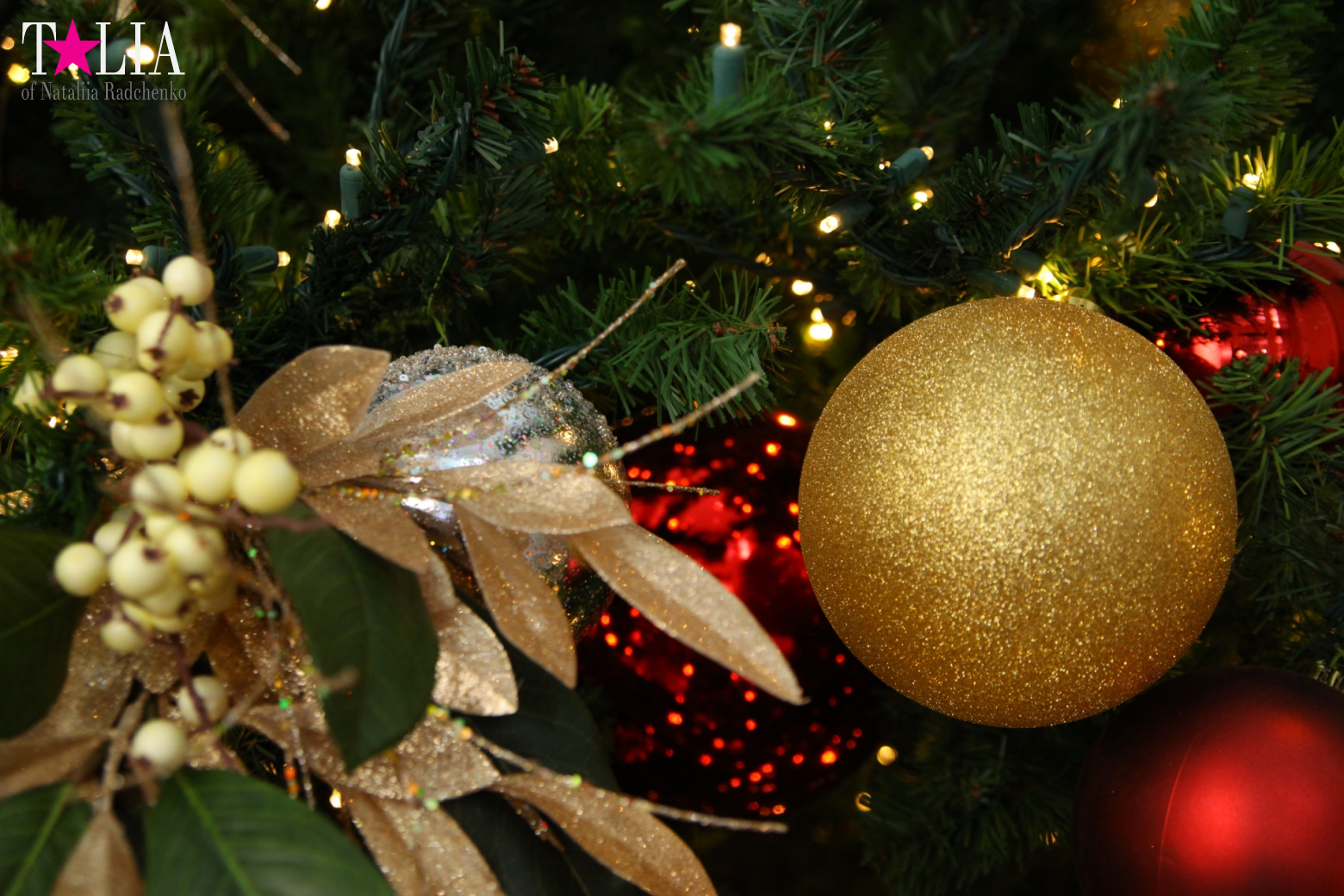 Поздравление с Рождеством и Новым годом 2017 годом от портала Талия!