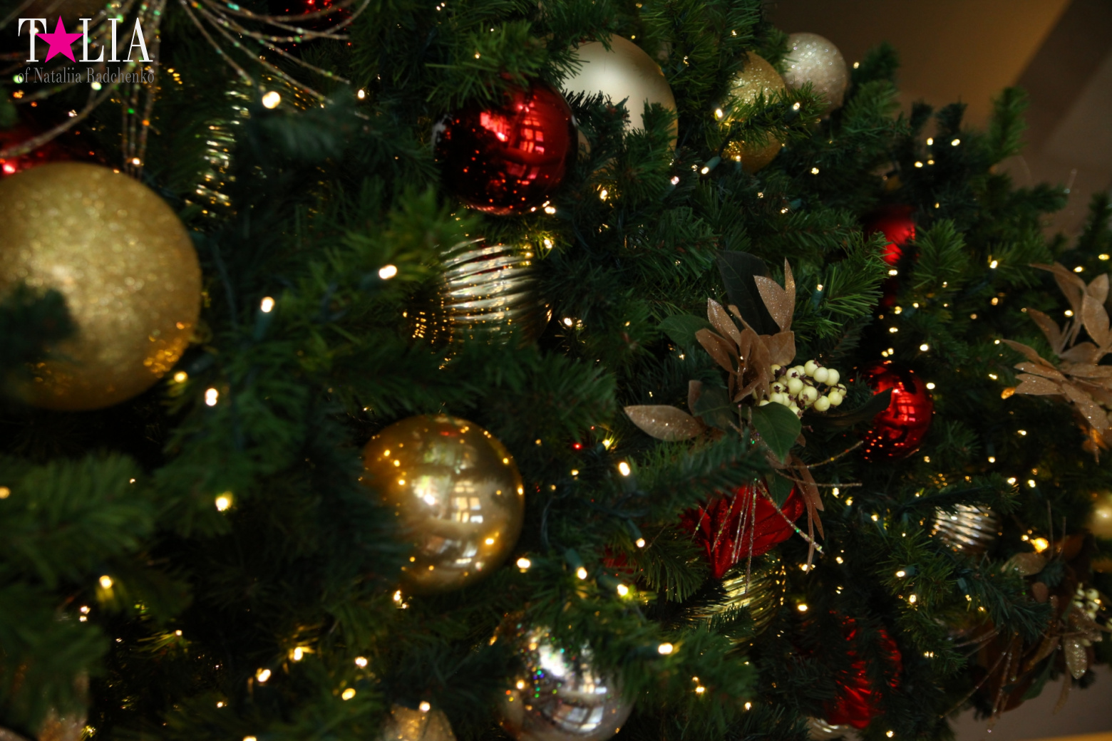 Поздравление с Рождеством и Новым годом 2017 годом от портала Талия!