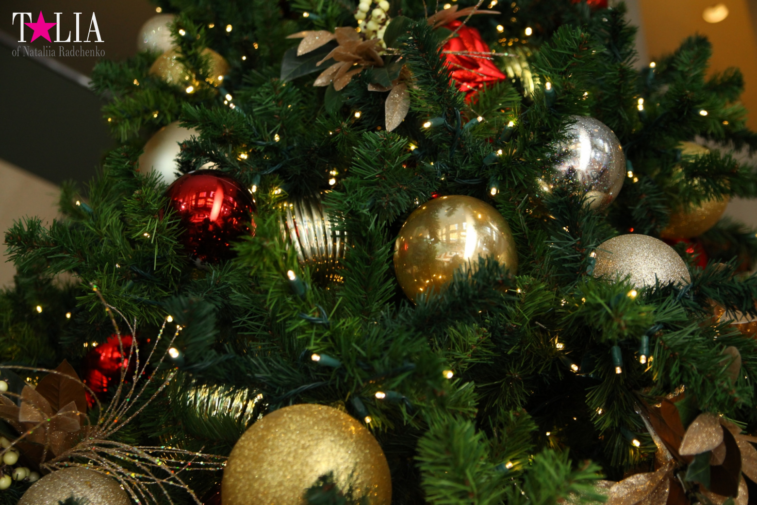 Поздравление с Рождеством и Новым годом 2017 годом от портала Талия!