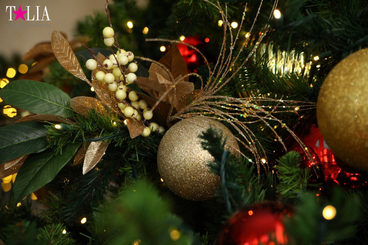 Поздравление с Рождеством и Новым годом 2017 годом от портала Талия!