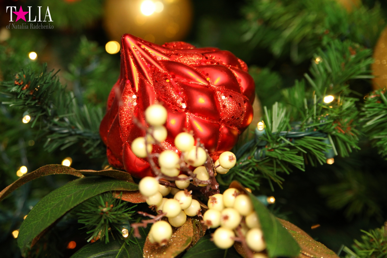 Поздравление с Рождеством и Новым годом 2017 годом от портала Талия!