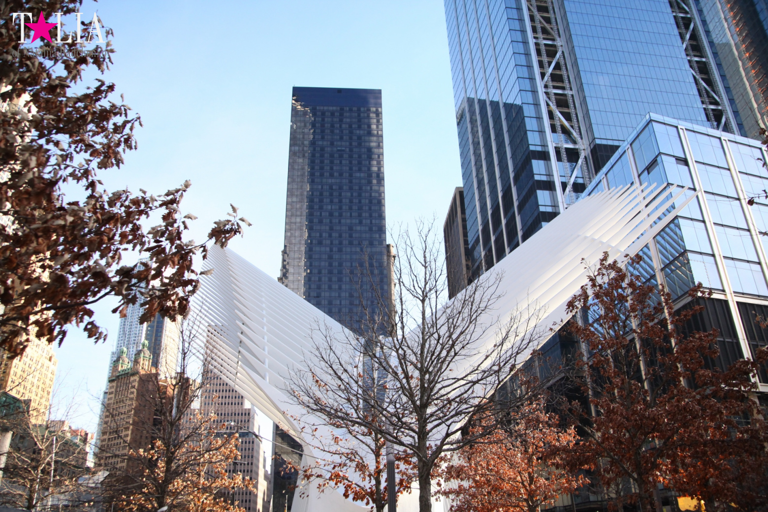 The most expensive train station and mall in the world. Oculus in New York City