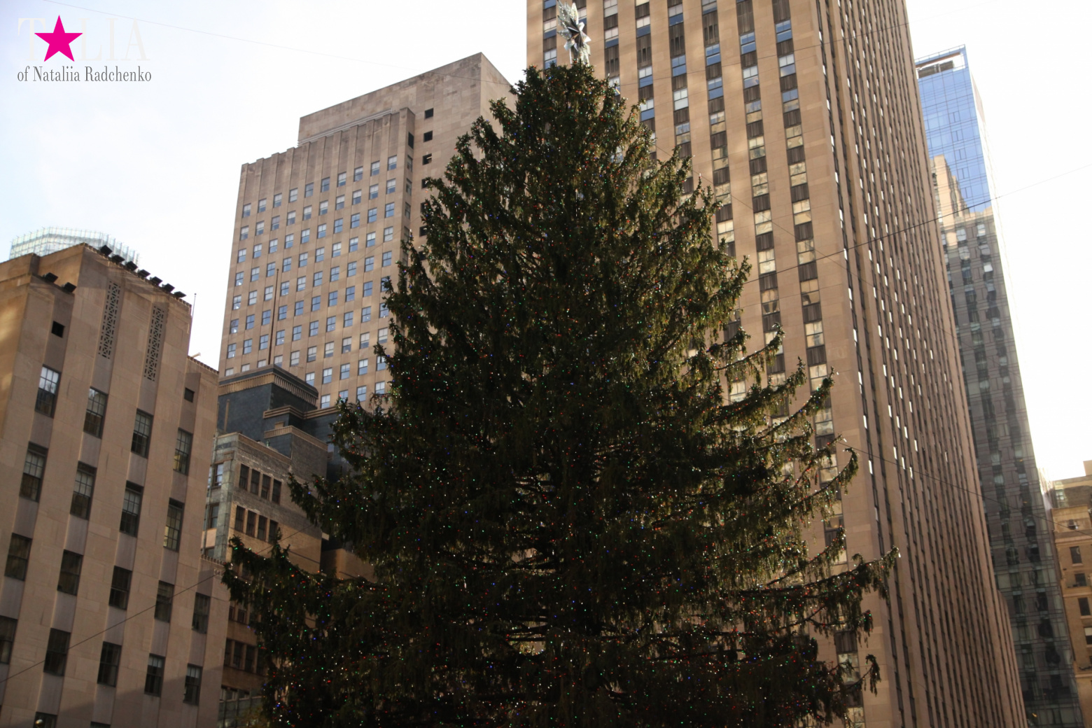 Главная рождественская елка Нью-Йорка возле Рокфеллер-Центра на Манхэттене