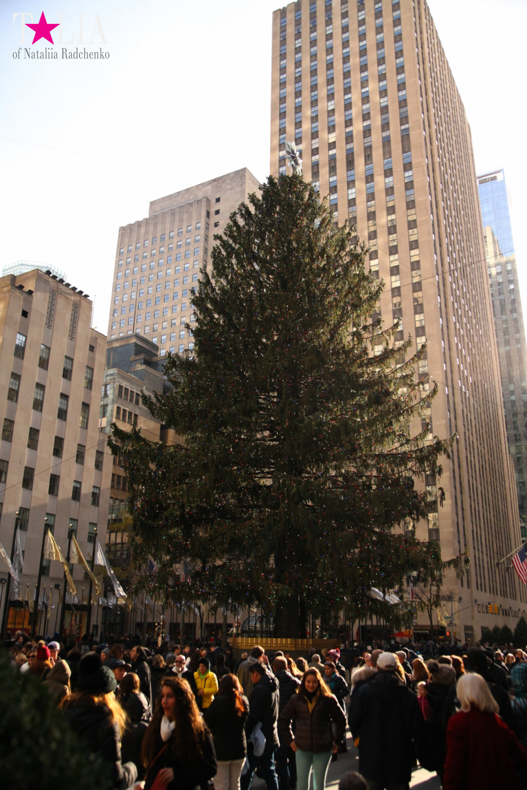 Главная рождественская елка Нью-Йорка возле Рокфеллер-Центра на Манхэттене