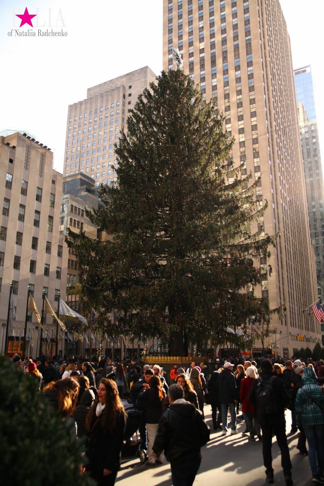 Главная рождественская елка Нью-Йорка возле Рокфеллер-Центра на Манхэттене