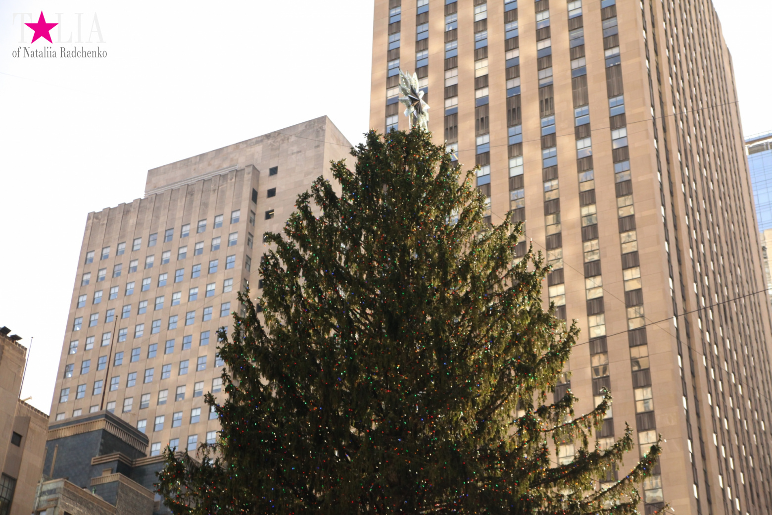 Главная рождественская елка Нью-Йорка возле Рокфеллер-Центра на Манхэттене