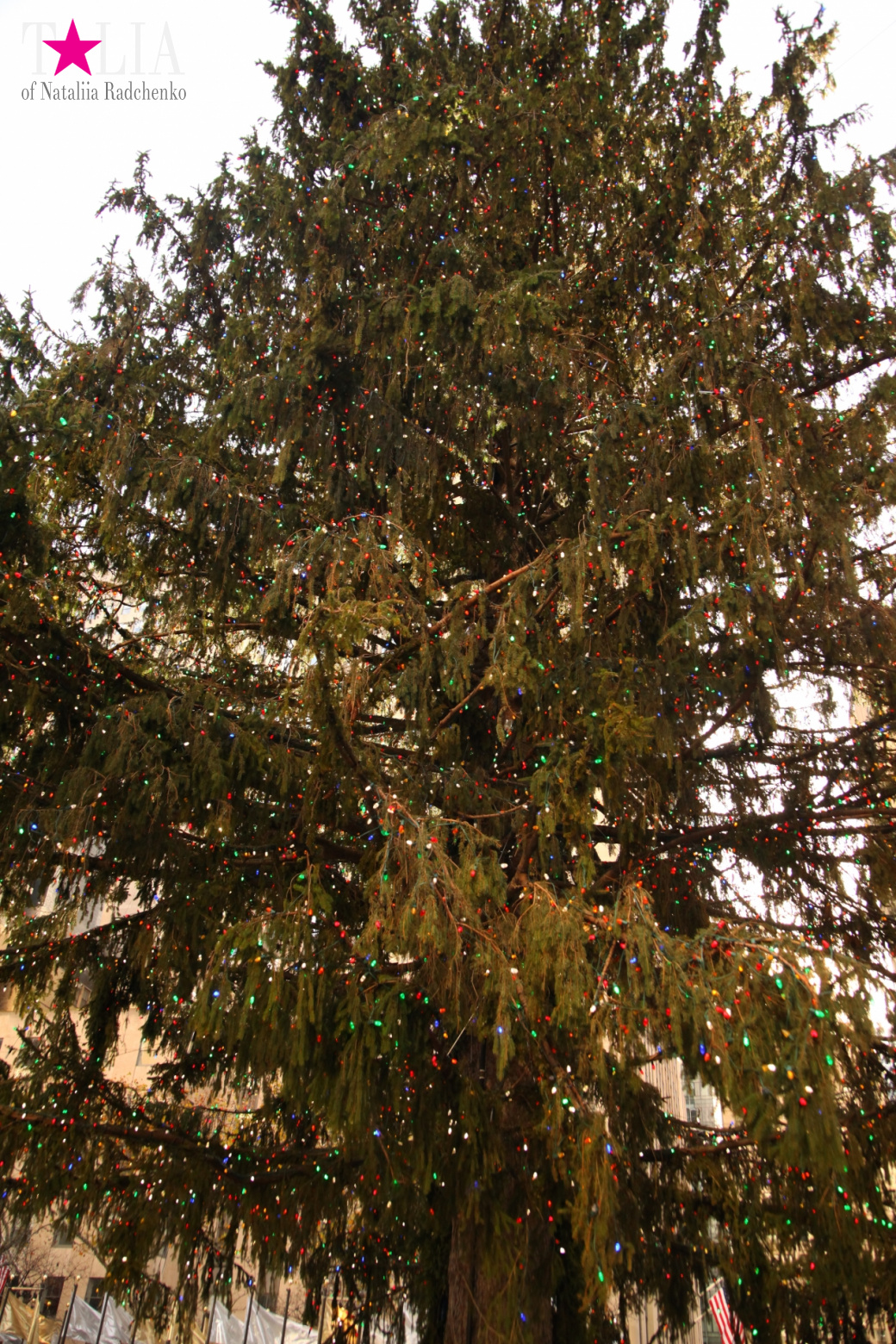 Главная рождественская елка Нью-Йорка возле Рокфеллер-Центра на Манхэттене