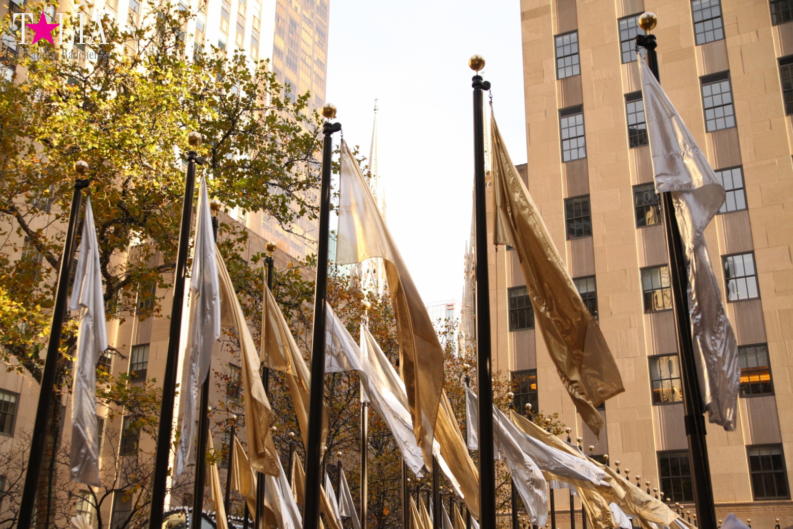 Главная рождественская елка Нью-Йорка возле Рокфеллер-Центра на Манхэттене