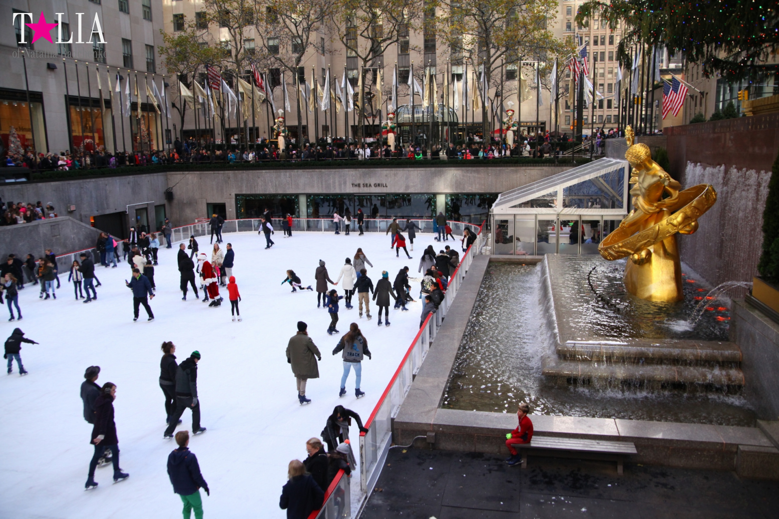 Главная рождественская елка Нью-Йорка возле Рокфеллер-Центра на Манхэттене