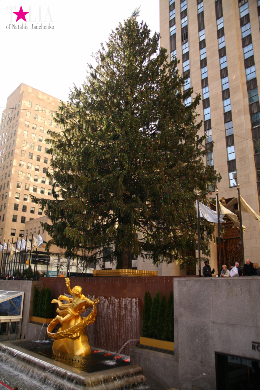 Главная рождественская елка Нью-Йорка возле Рокфеллер-Центра на Манхэттене