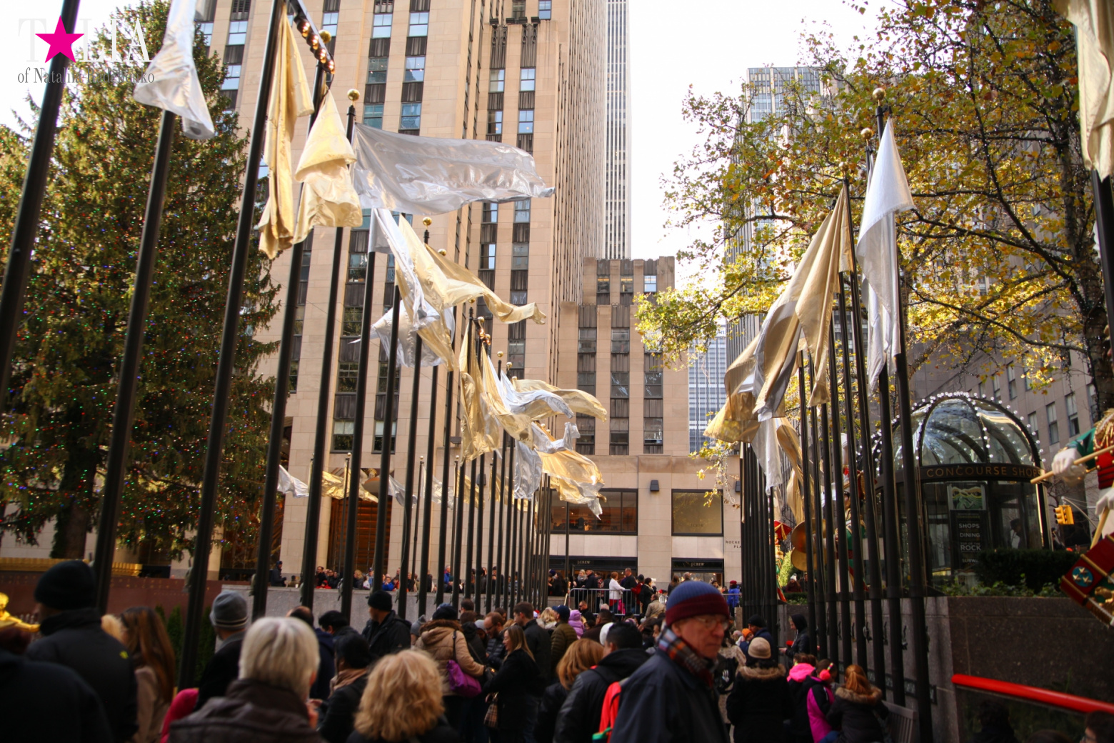 Главная рождественская елка Нью-Йорка возле Рокфеллер-Центра на Манхэттене