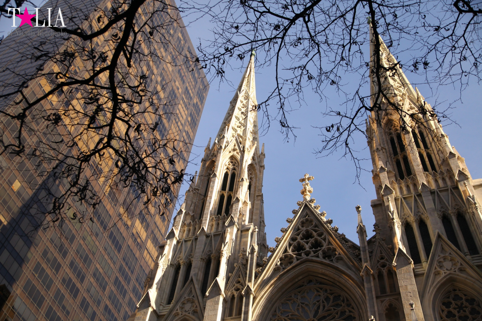 Главная рождественская елка Нью-Йорка возле Рокфеллер-Центра на Манхэттене