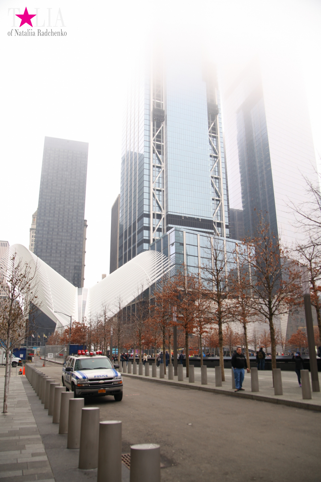 The Financial District of Manhattan: The bull, the New York Stock Exchange, Wall Street, the World Trade Centre, 9/11 Memorial