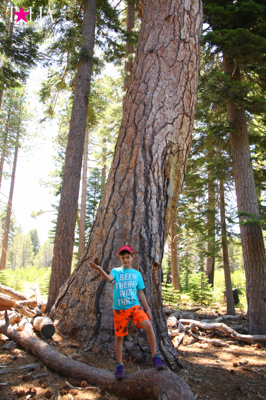 Озеро Тахо, Калифорния, США