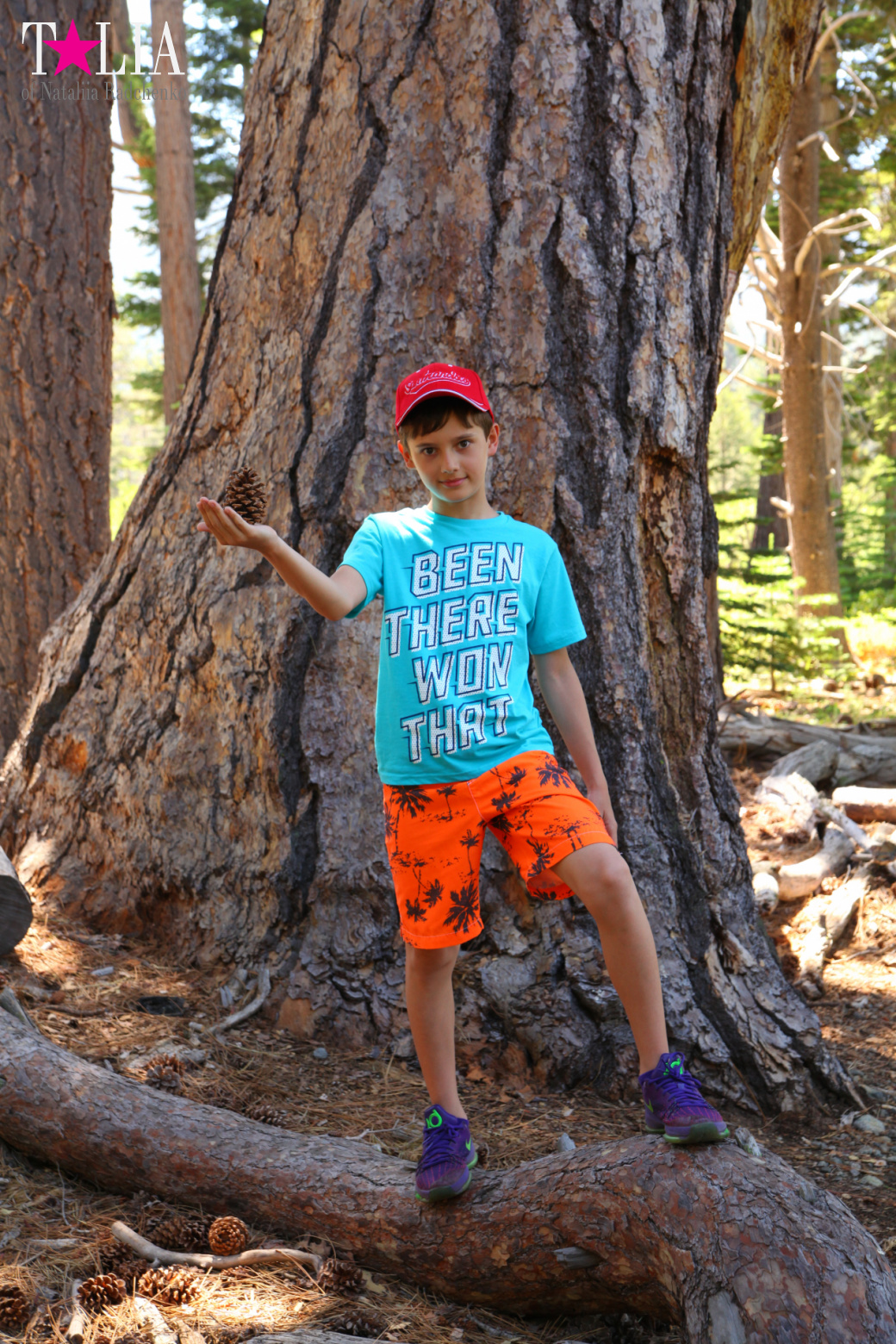 Озеро Тахо, Калифорния, США