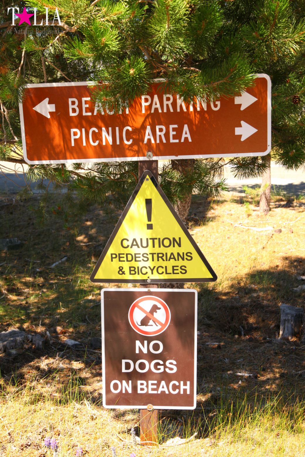 Lake Tahoe, California, USA