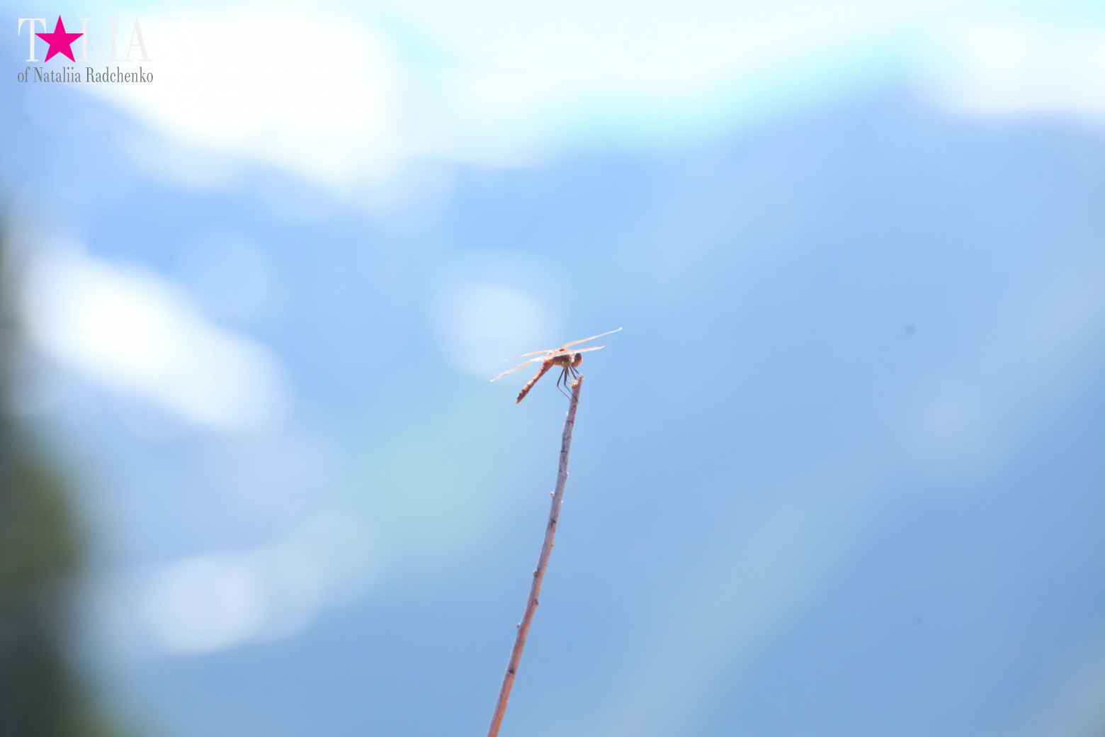 Озеро Тахо, Калифорния, США