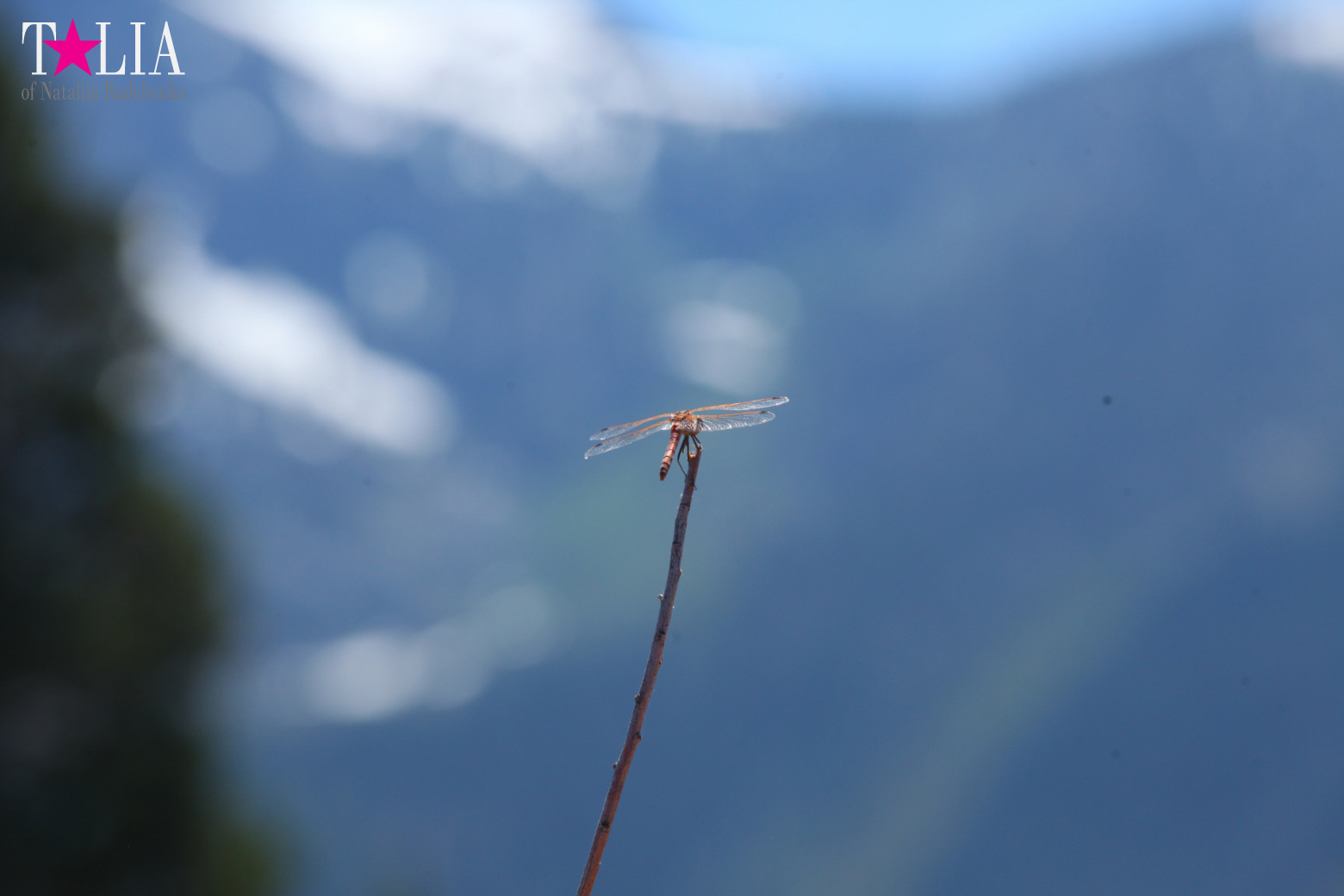 Озеро Тахо, Калифорния, США