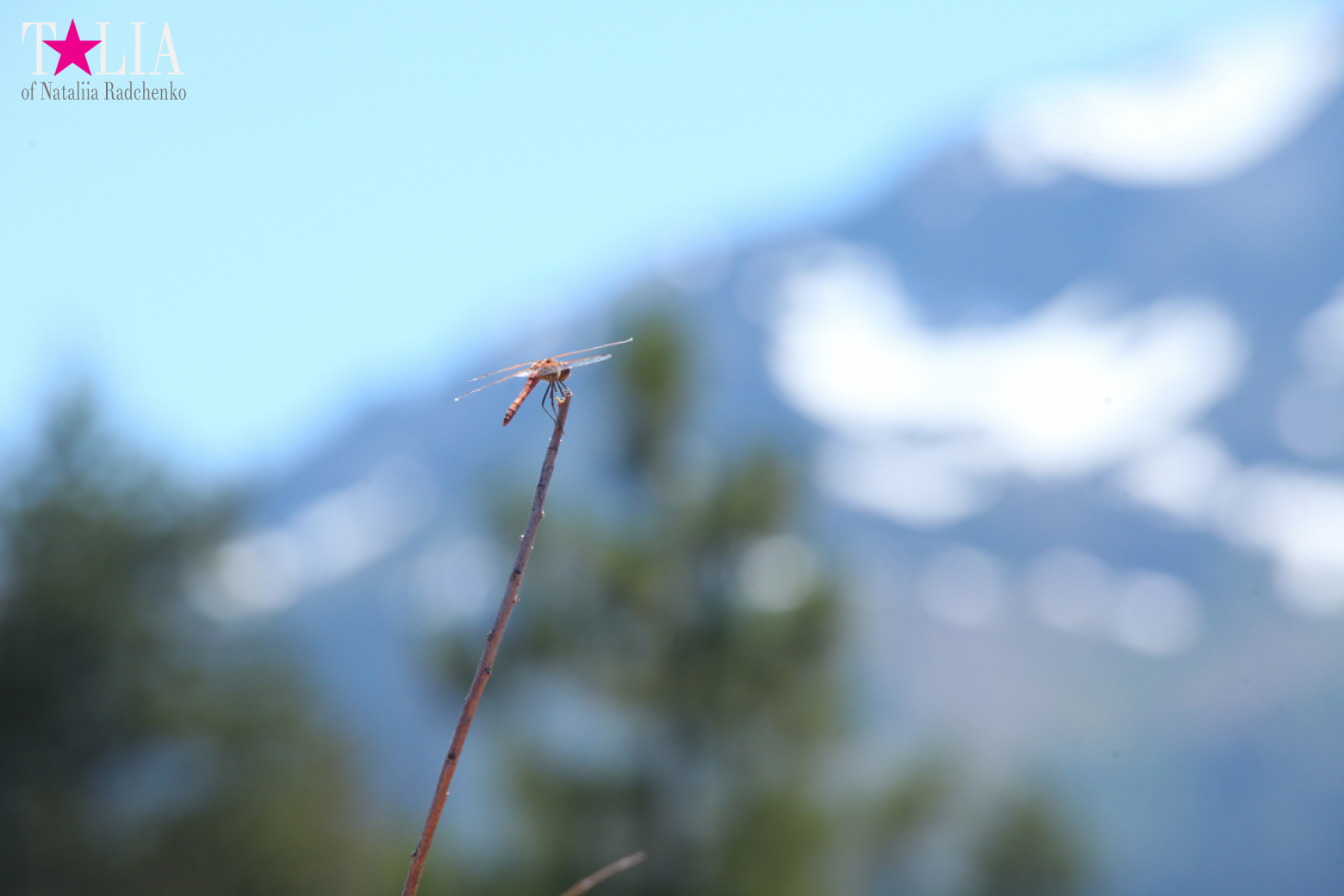 Lake Tahoe, California, USA