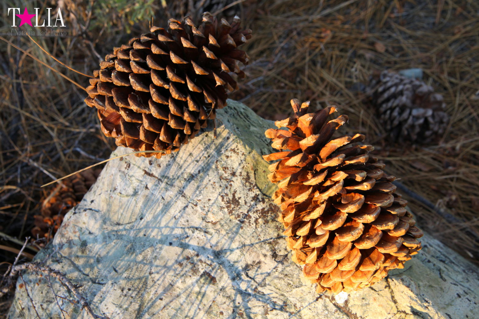 Lake Tahoe, California, USA