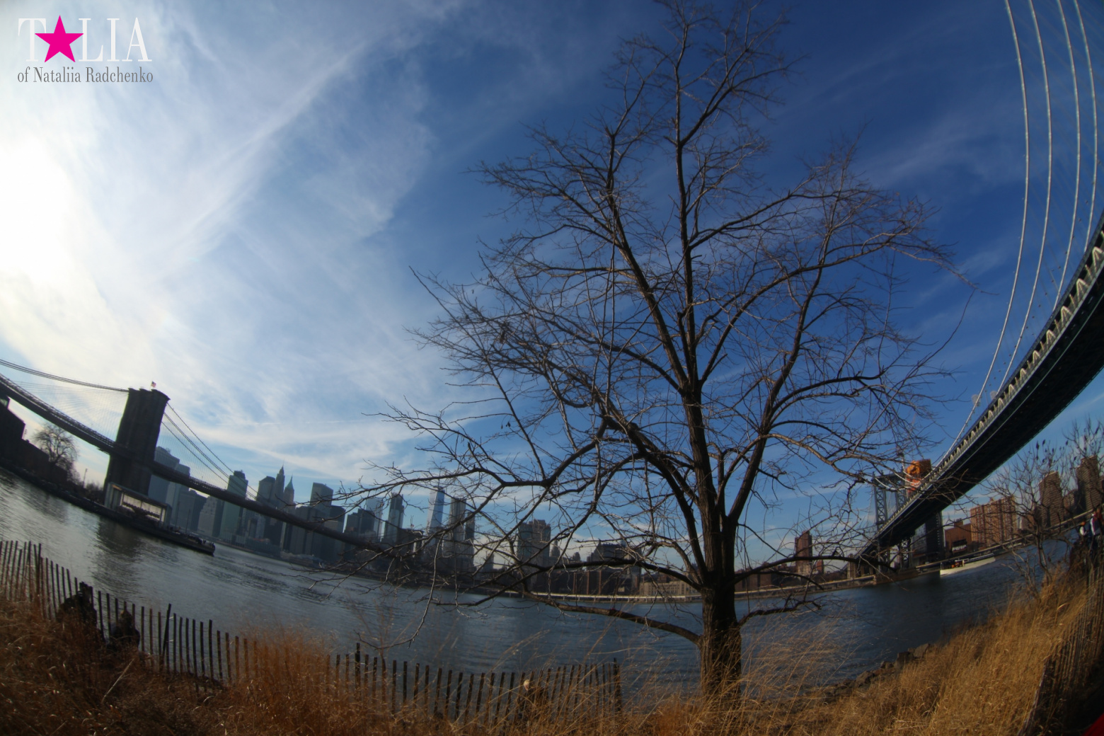 Манхэттенский Мост в Нью-Йорке, США