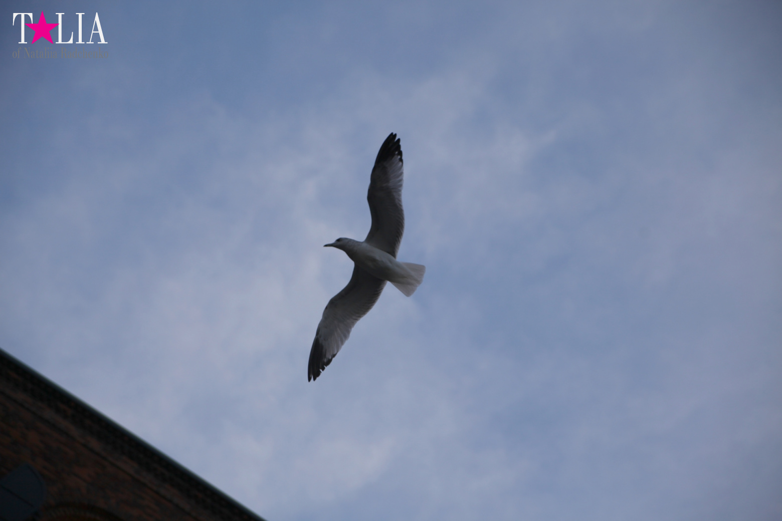 Бруклинский Мост, Нью-Йорк, США