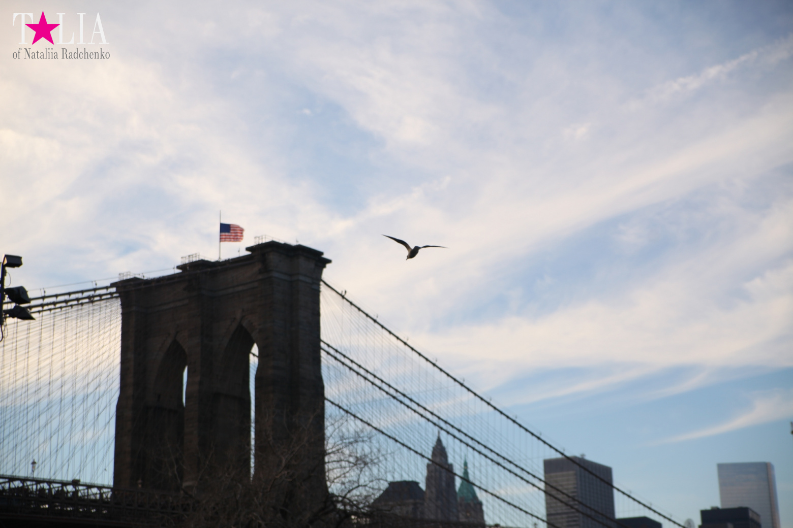 Бруклинский Мост, Нью-Йорк, США