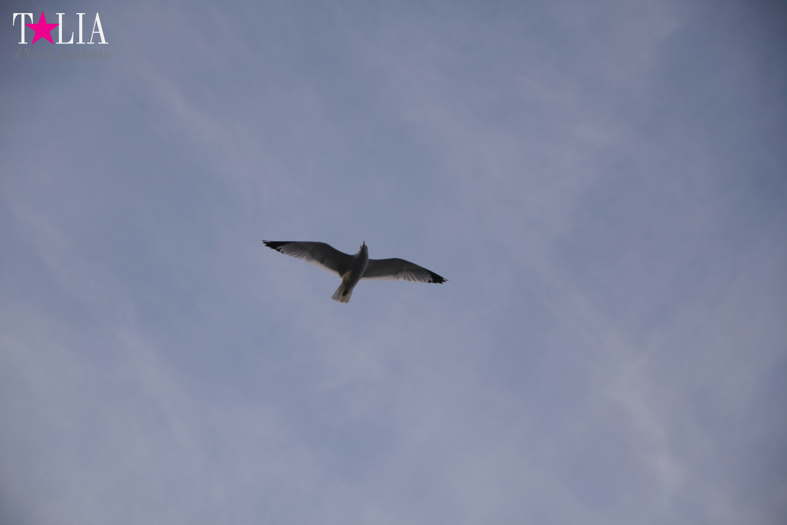 Манхэттенский Мост в Нью-Йорке, США