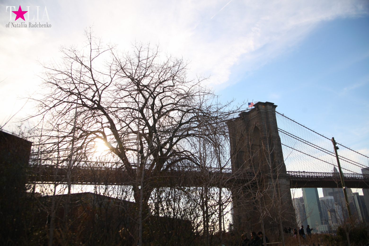 Бруклинский Мост, Нью-Йорк, США