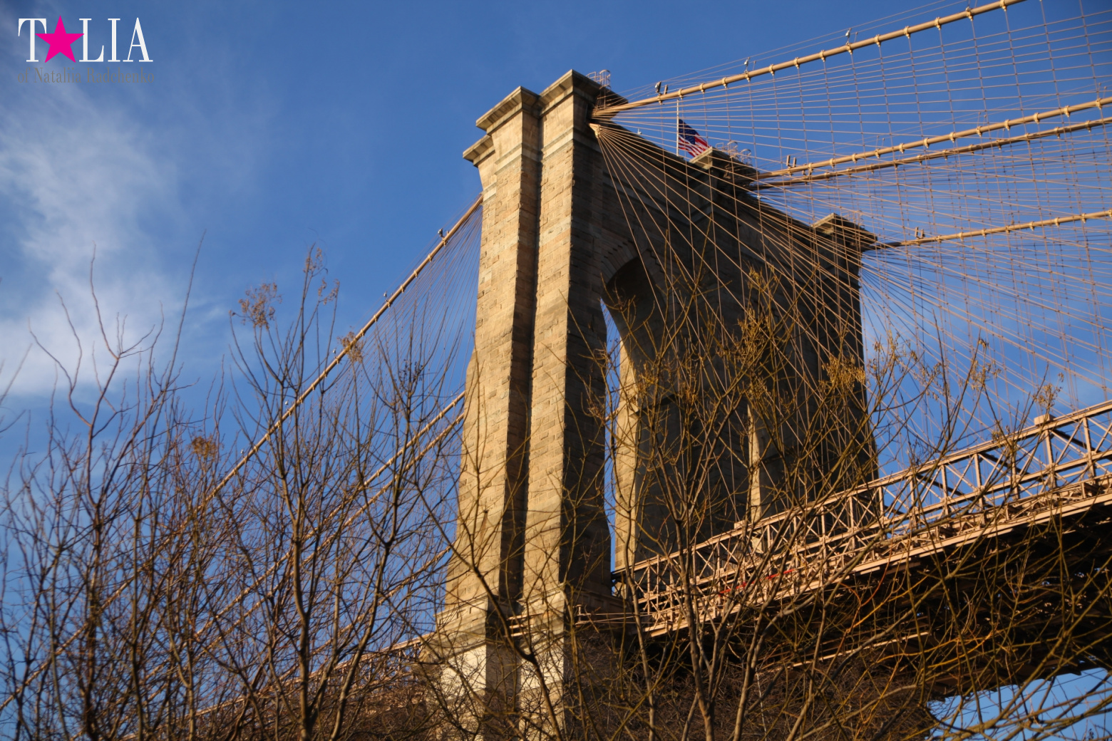 Бруклинский Мост, Нью-Йорк, США