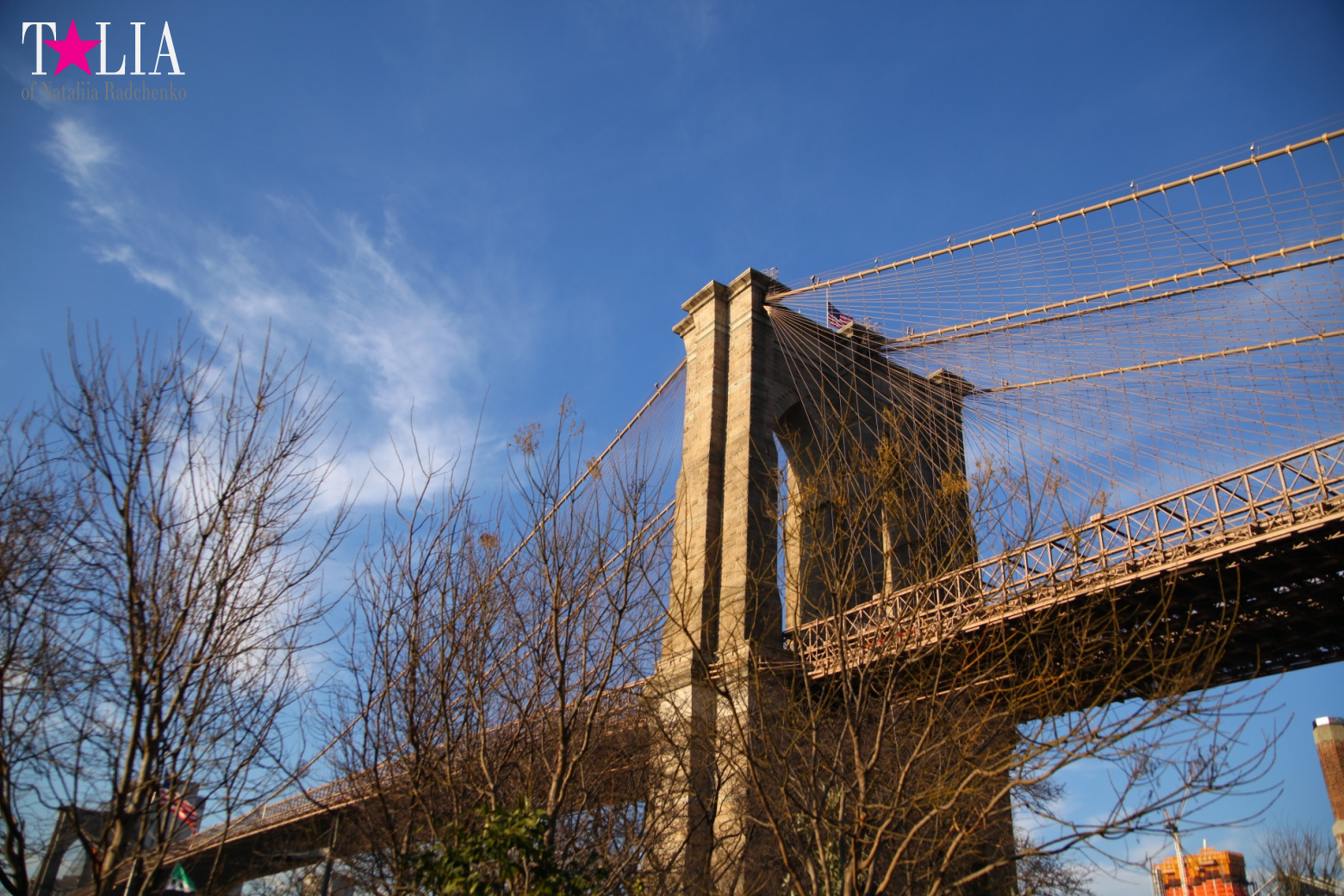 Бруклинский Мост, Нью-Йорк, США