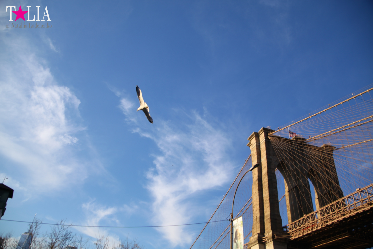 Бруклинский Мост, Нью-Йорк, США