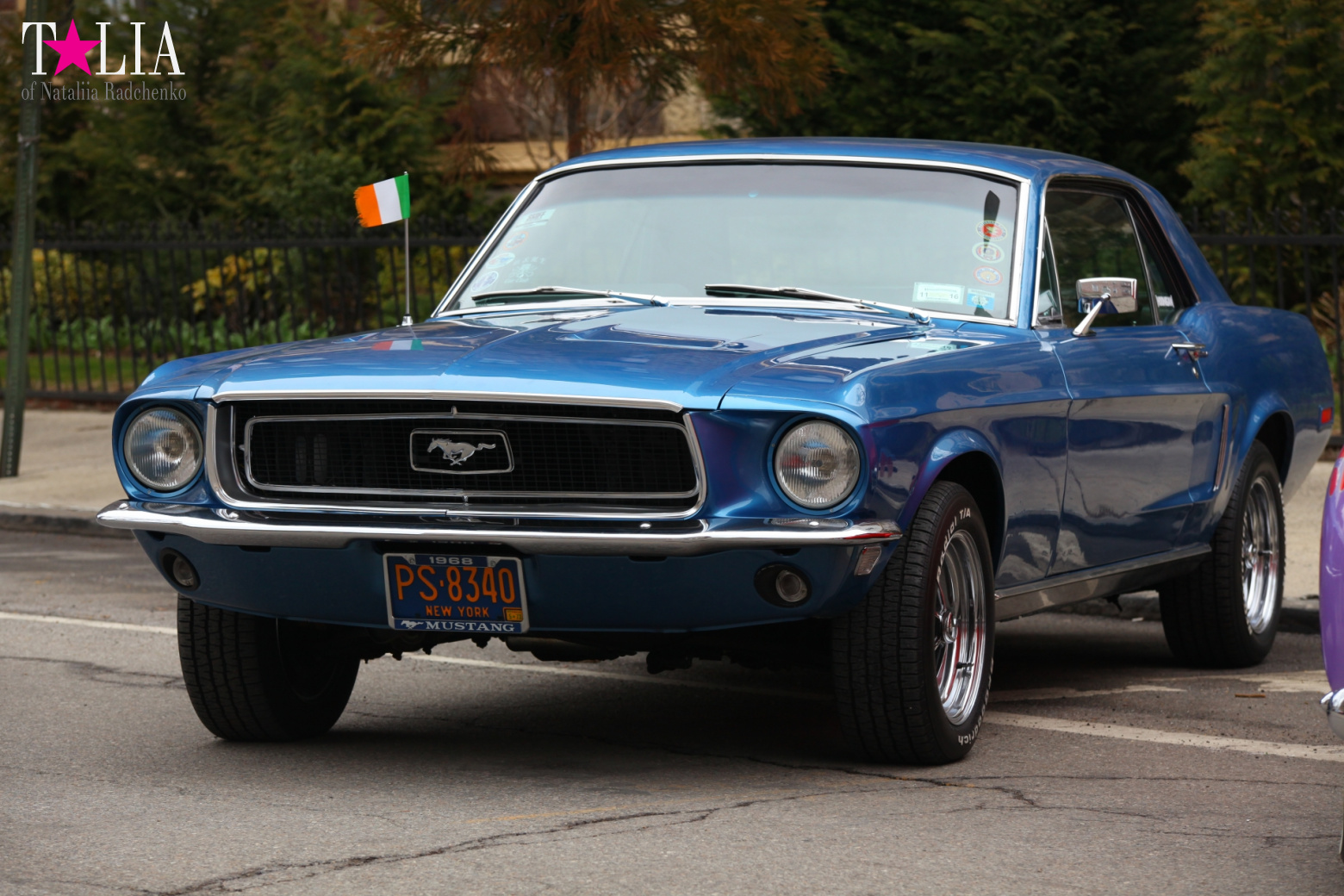 Bay Ridge St. Patrick's Day Parade 2017