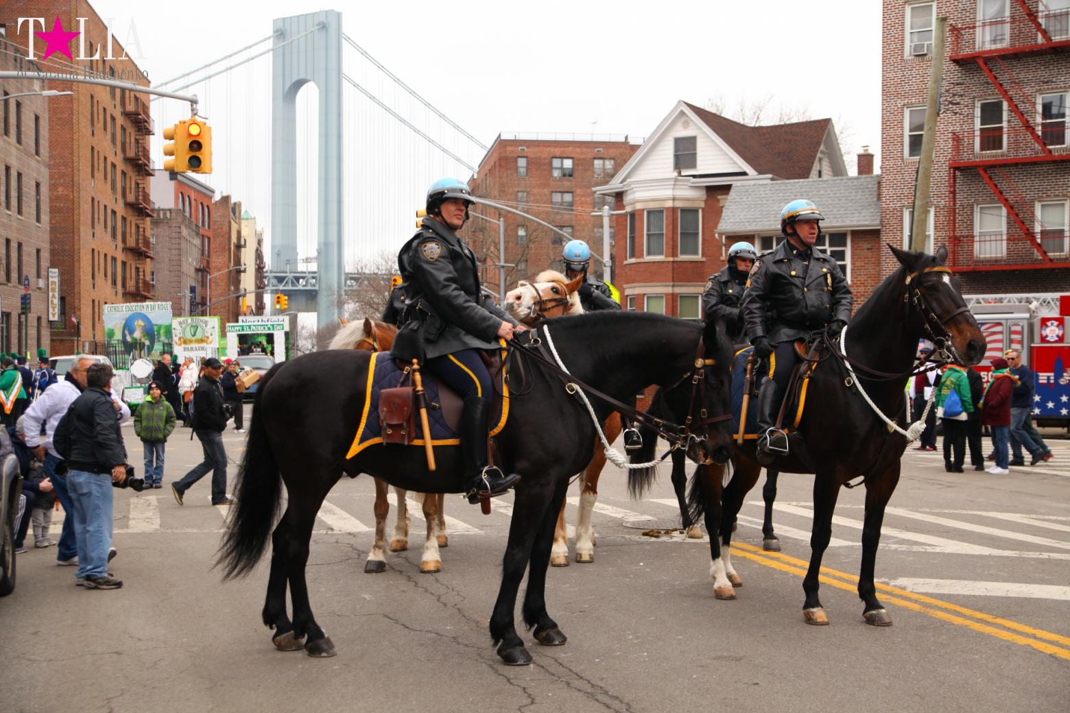 Bay Ridge St. Patrick's Day Parade 2017