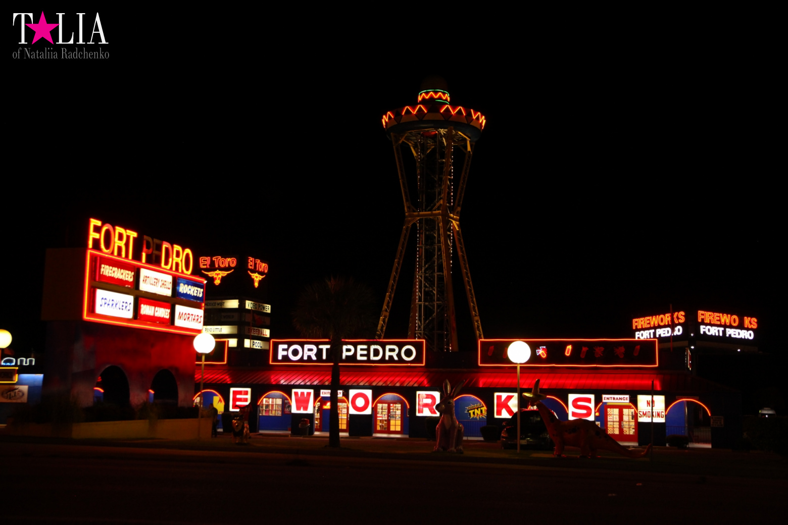 ''South of the Border''. Середина пути по дороге из Нью-Йорка в Майами на машине