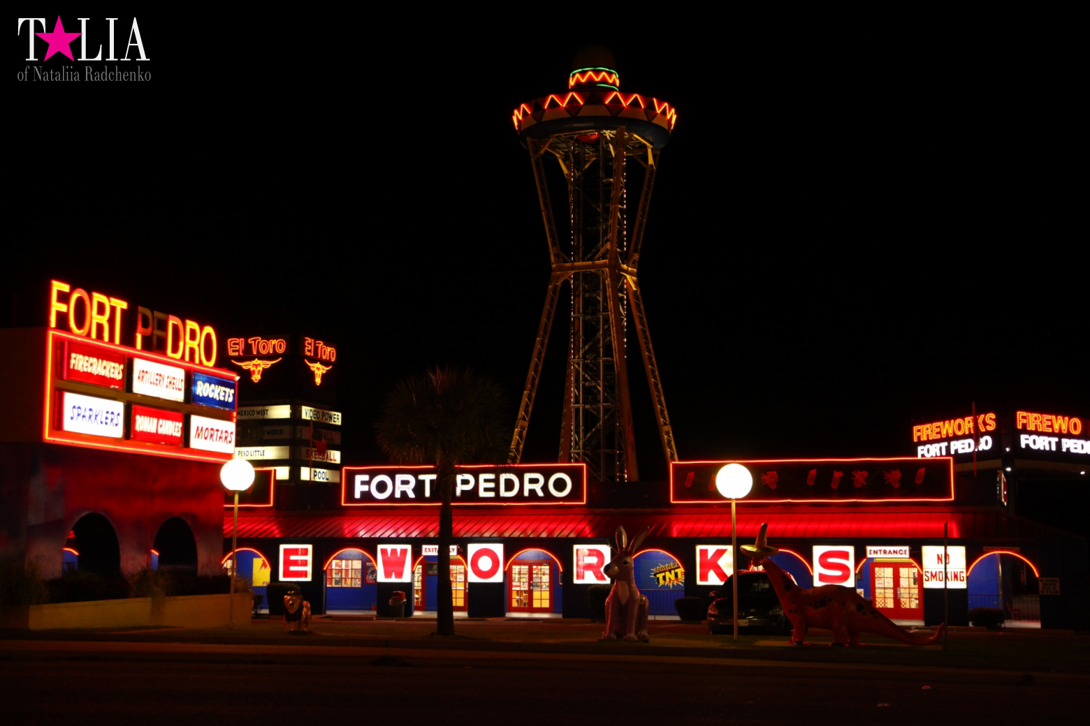 ''South of the Border". Середина пути по дороге из Нью-Йорка в Майами на машине