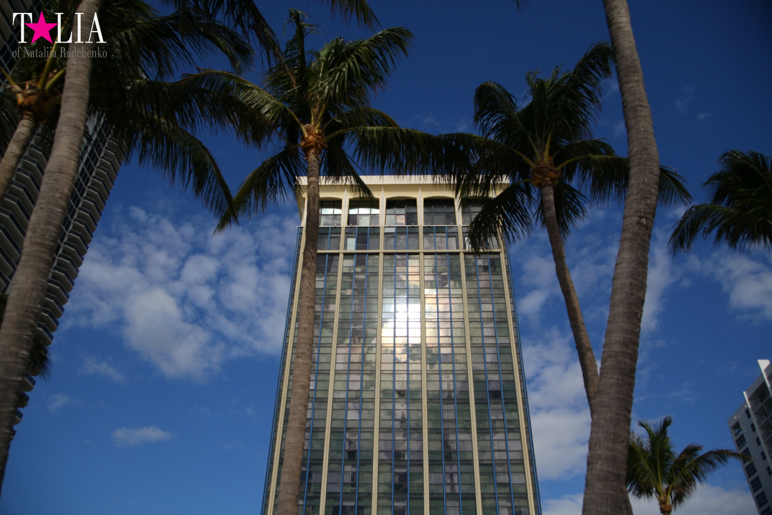 Как поехать из Нью-Йорка в Майами на машине?