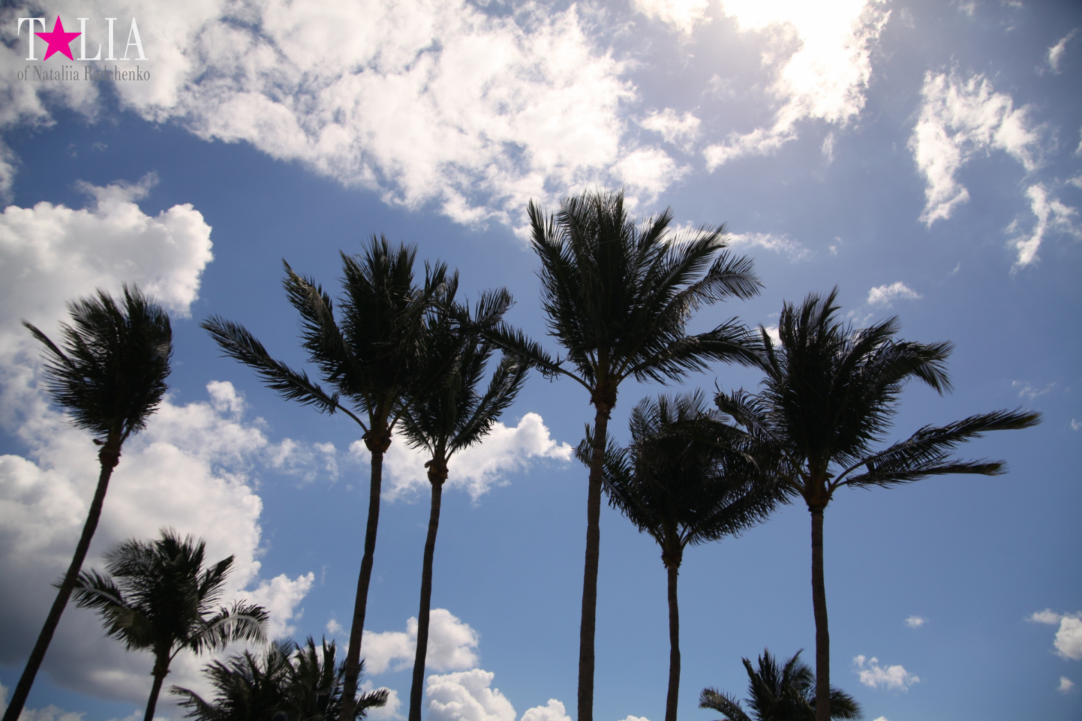 День Матери и Международный День Семей 2017