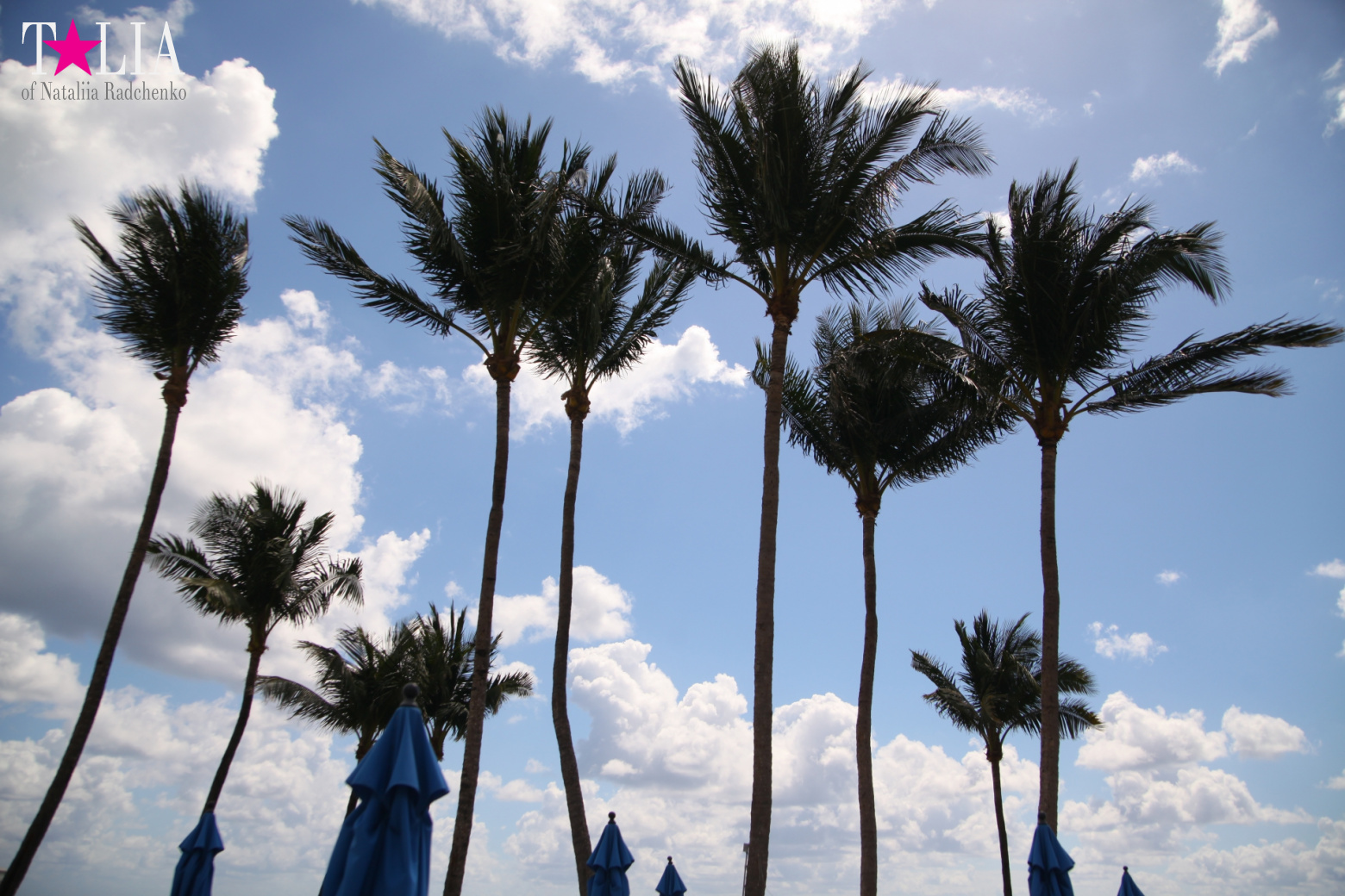 День Матери и Международный День Семей 2017