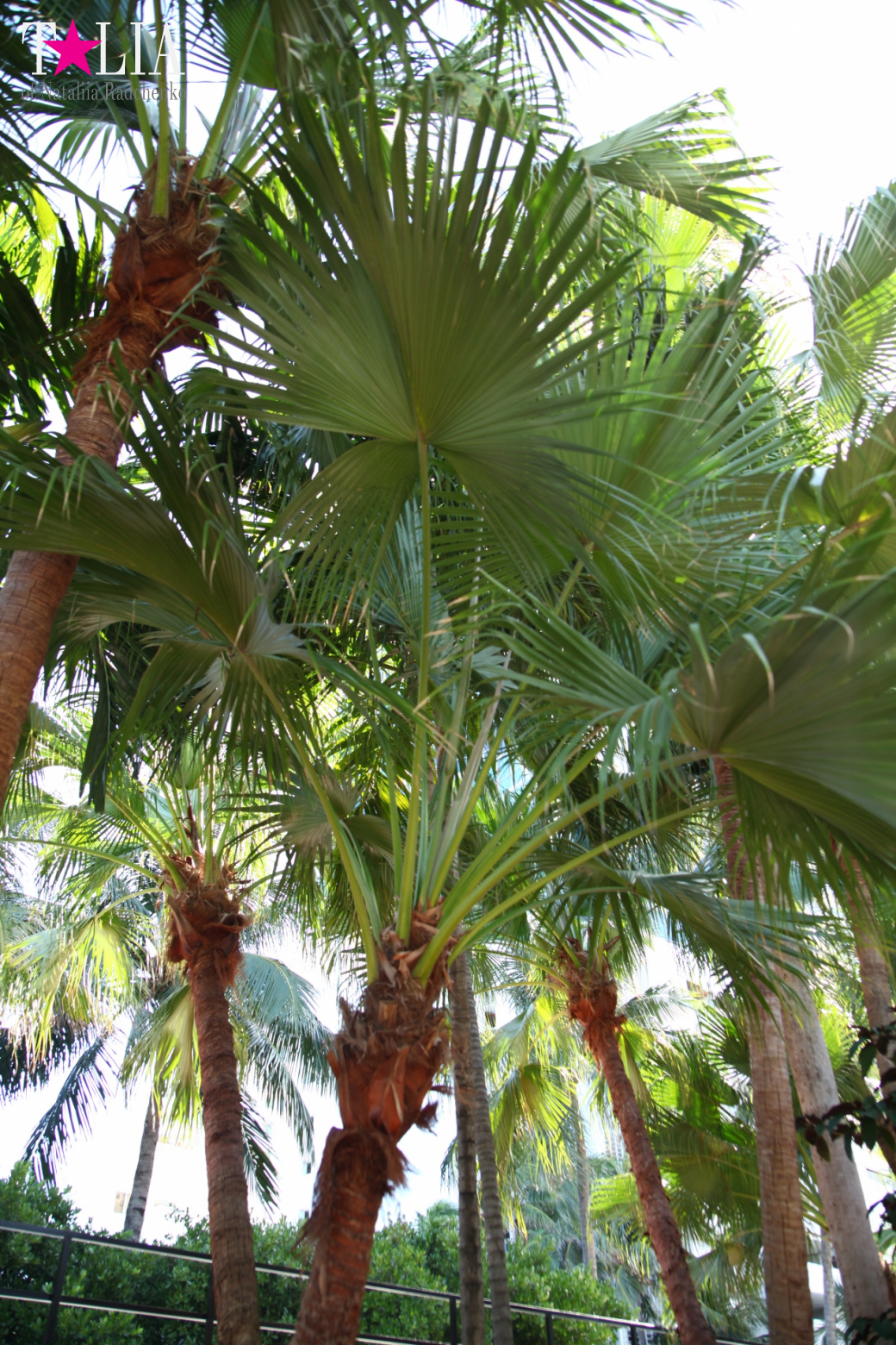 Congratulations on International Yoga Day