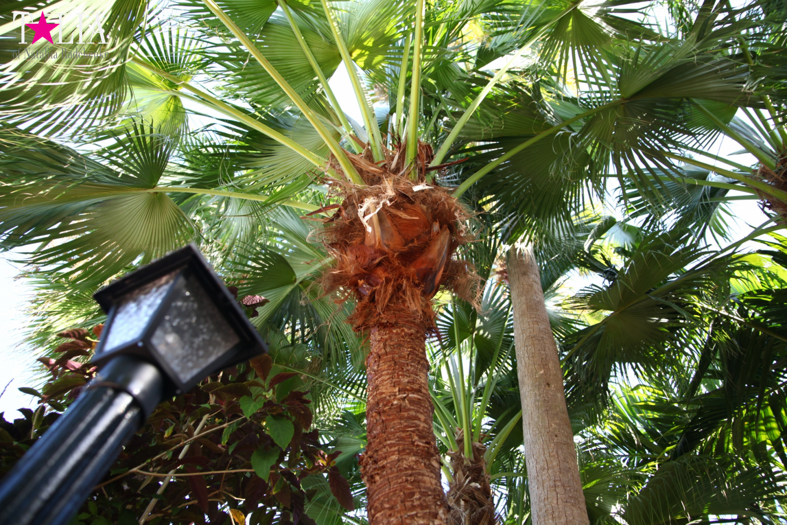 Congratulations on International Yoga Day