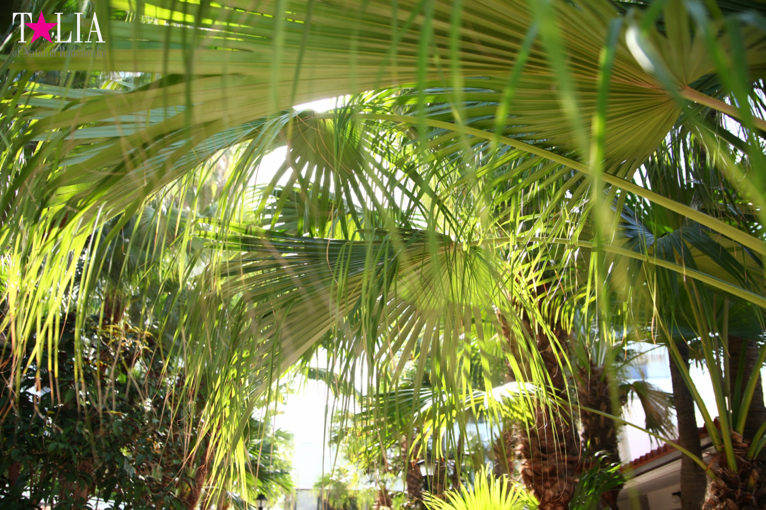 Congratulations on International Yoga Day