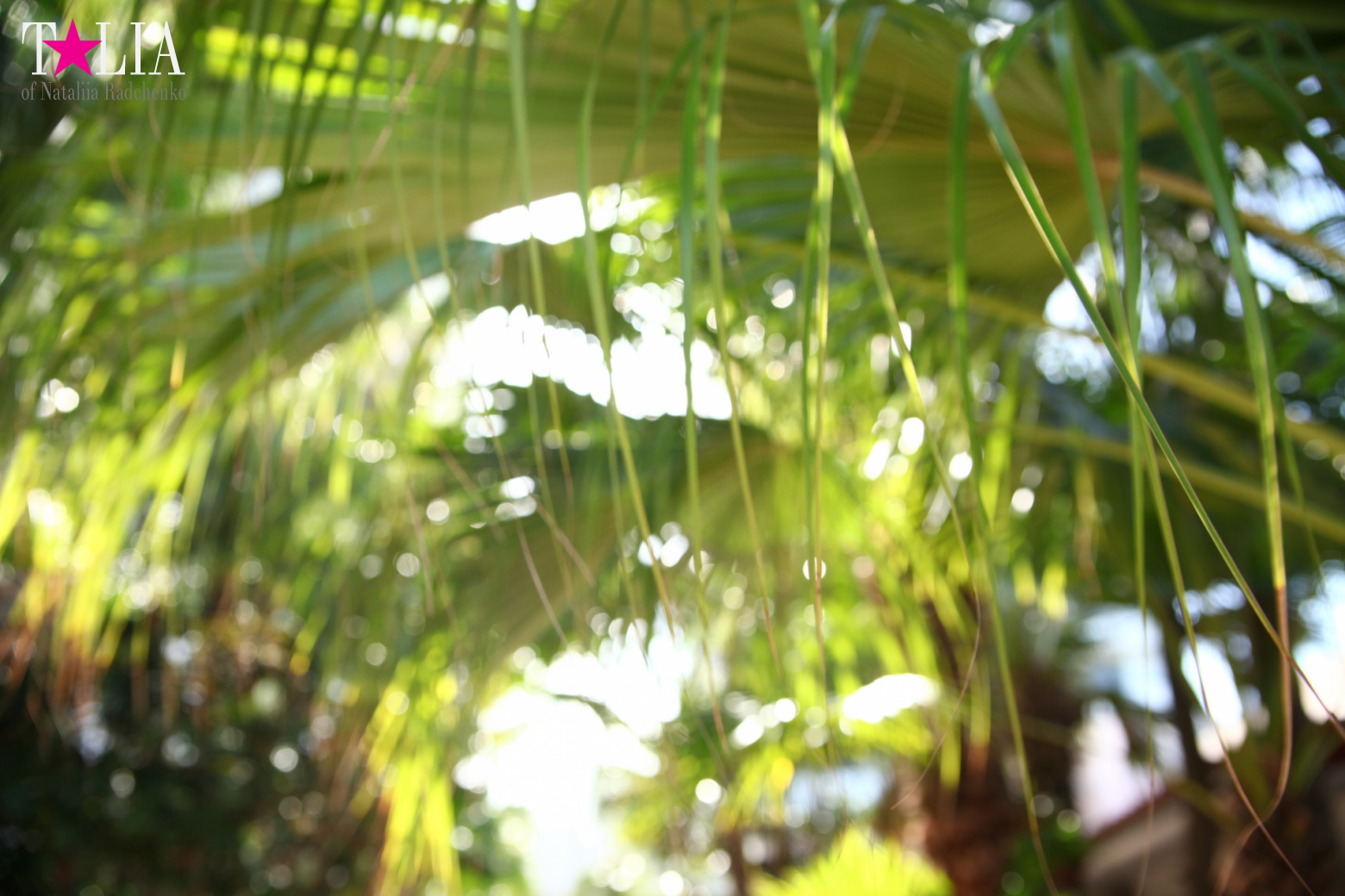 Congratulations on International Yoga Day