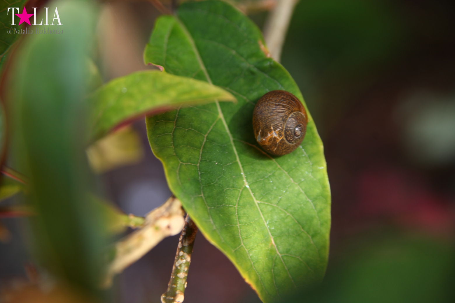Congratulations on International Yoga Day