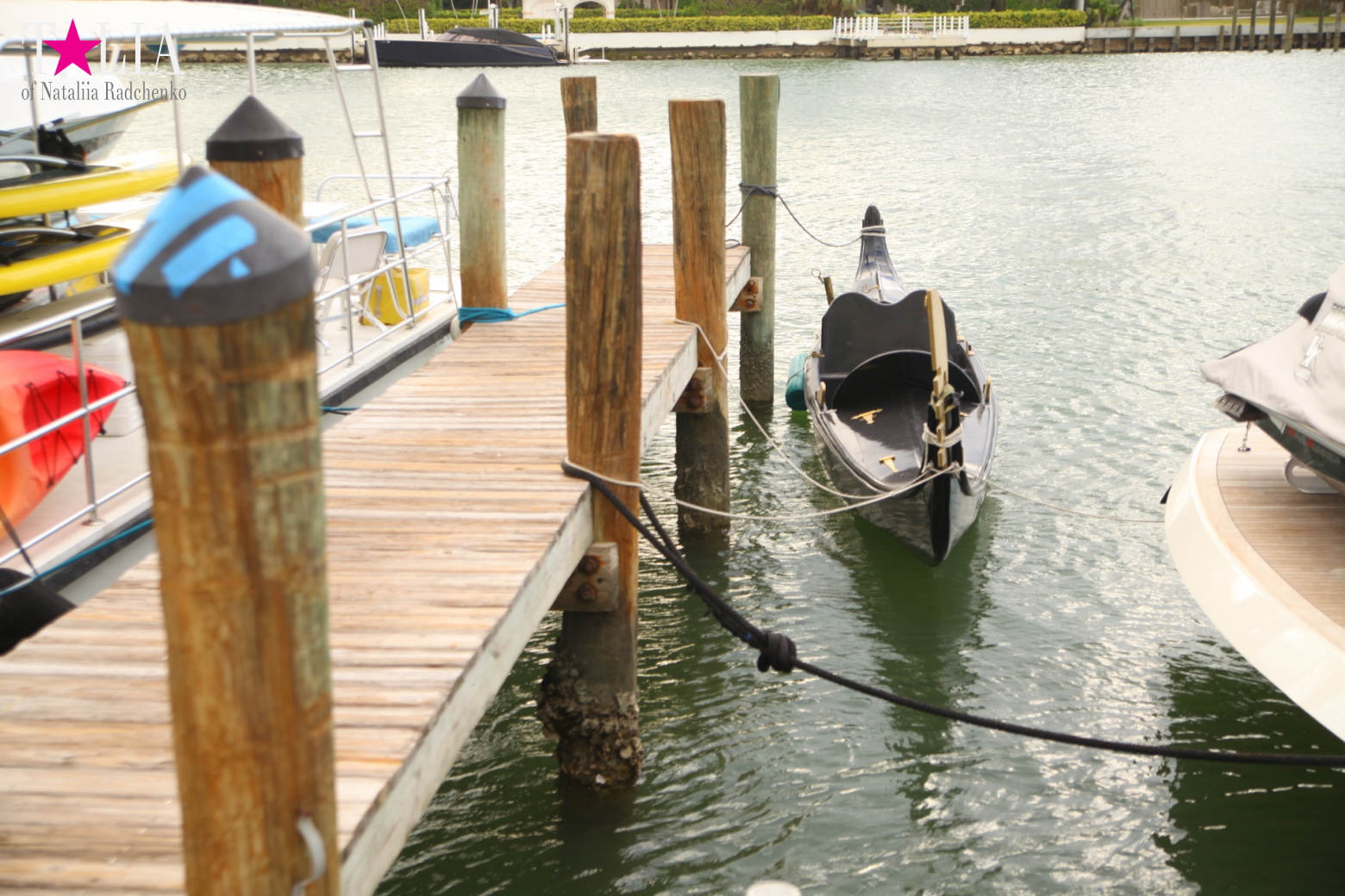 Yachts, Palms, Bay - The promenade of Middle Miami Beach, Collins Avenue