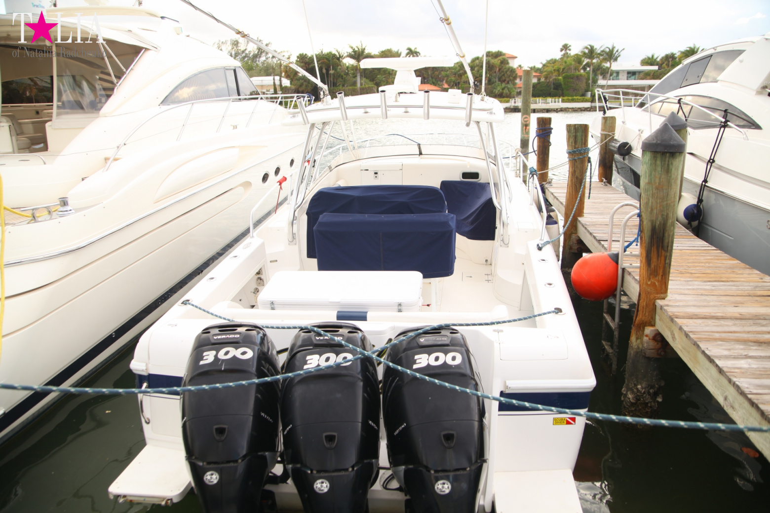 Yachts, Palms, Bay - The promenade of Middle Miami Beach, Collins Avenue