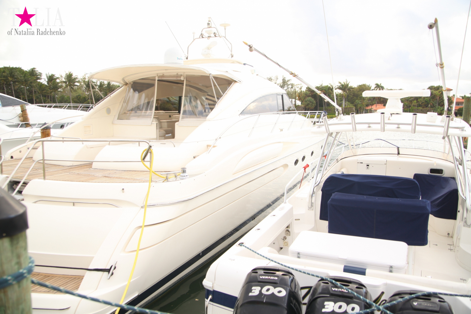 Yachts, Palms, Bay - The promenade of Middle Miami Beach, Collins Avenue
