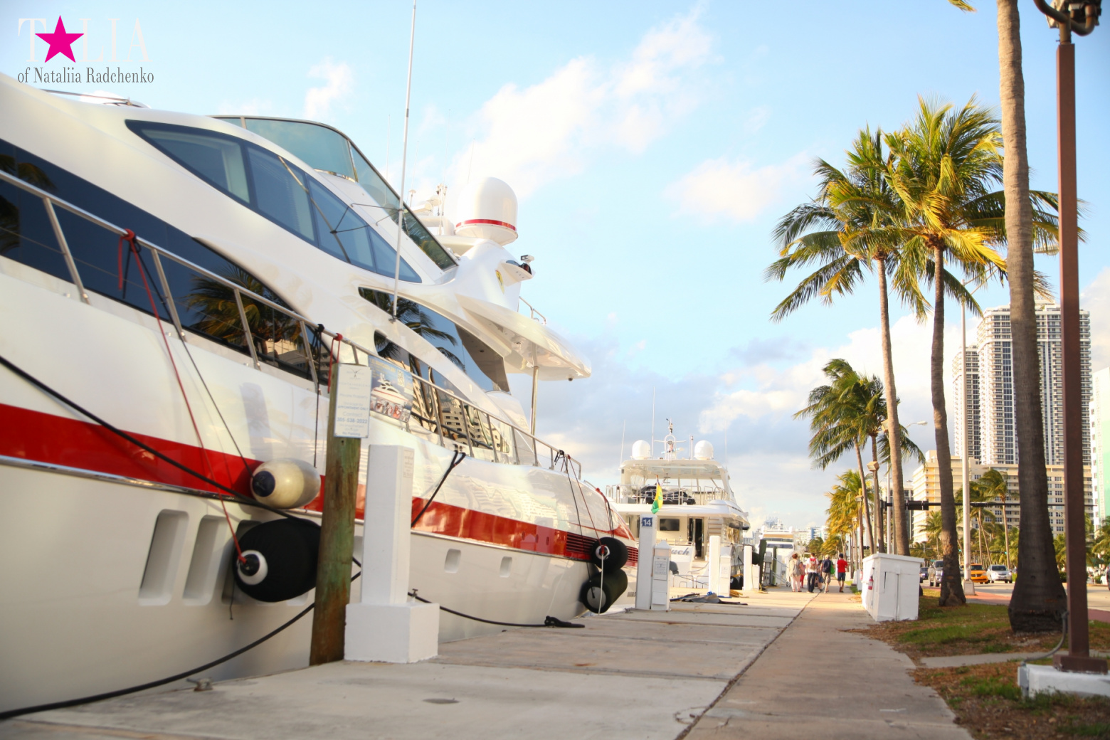 Yachts, Palms, Bay - The promenade of Middle Miami Beach, Collins Avenue